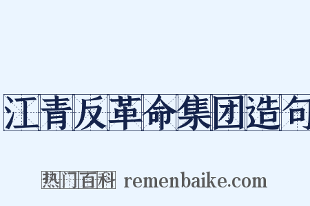 江青反革命集团造句是什么意思的图片